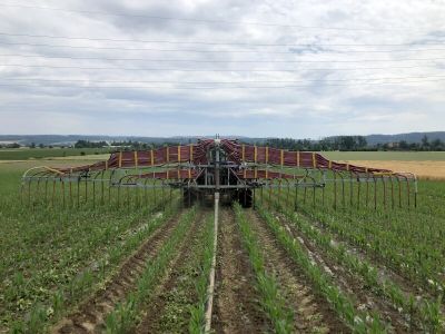 Gülle verschlauchen Gülle verschlauchen auf dem Feld